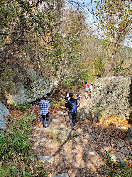 Lost Maples State Park