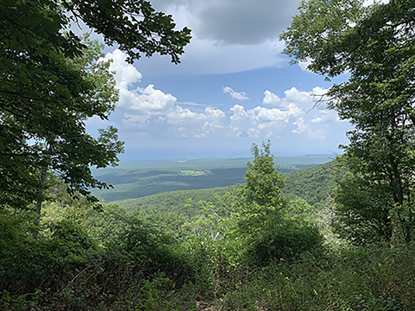 Whispers of the Ozarks