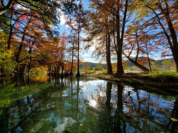 A Gentle Escape into Nature