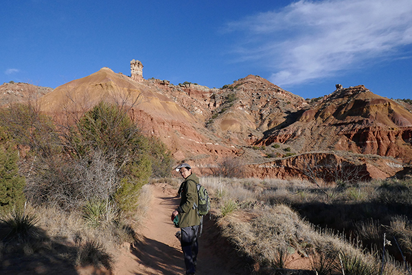 A Gentle Escape into Nature